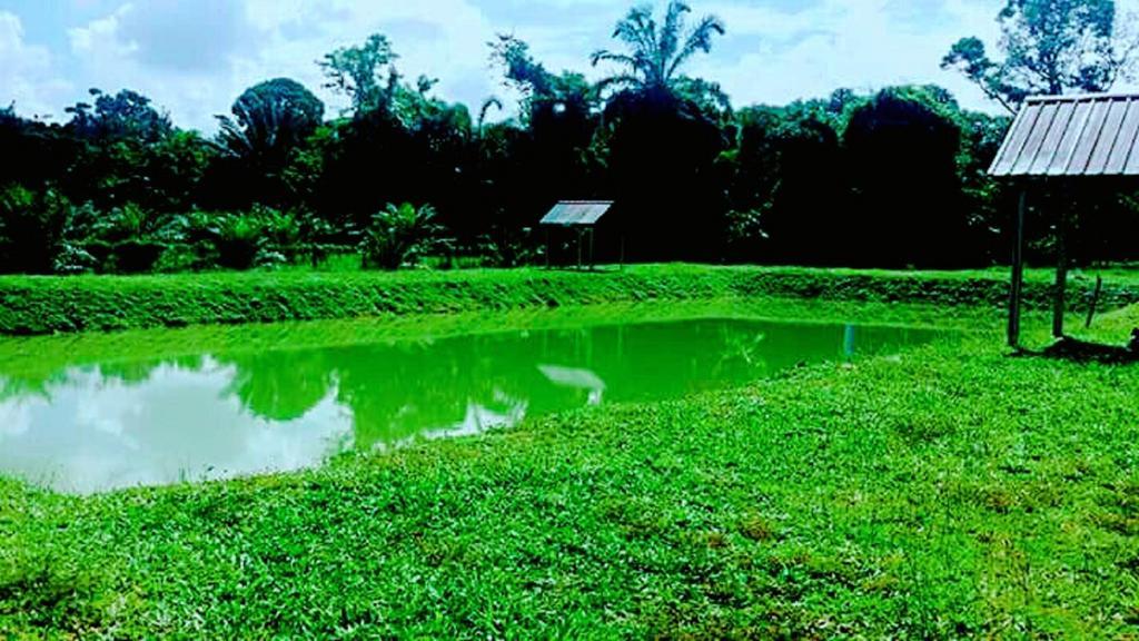5 Stone Cabin Chalet Taiping Extérieur photo